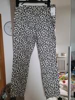 Leo Hose h&m 33 Bayern - Kemmern Vorschau