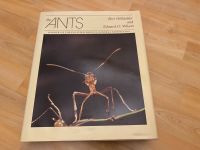 Ants Wilson Hölldobler Buch Wissenschaft Ameisen Insekten englisc Pankow - Prenzlauer Berg Vorschau