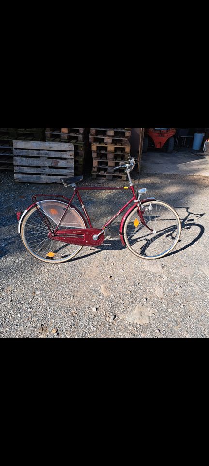 Fahrrad Herren in Wendelstein