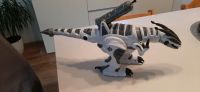 BSD RC Dino Roboter Nordrhein-Westfalen - Paderborn Vorschau