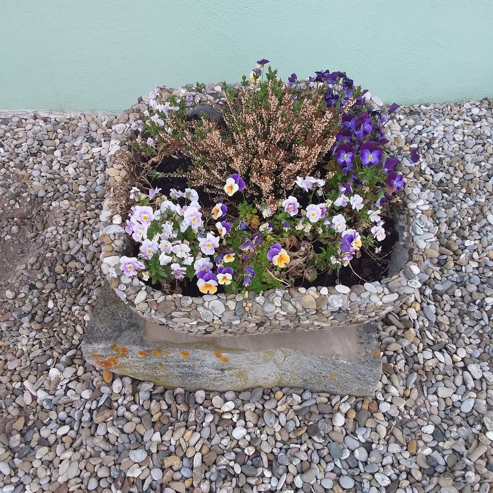 Blumentopf Pflanztrog Waschbeton in Neuhof an der Zenn