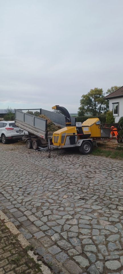 Bagger/Radlader Arbeiten in Schlanstedt