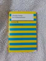 Der Schimmelreiter von Theodor Storm Niedersachsen - Northeim Vorschau