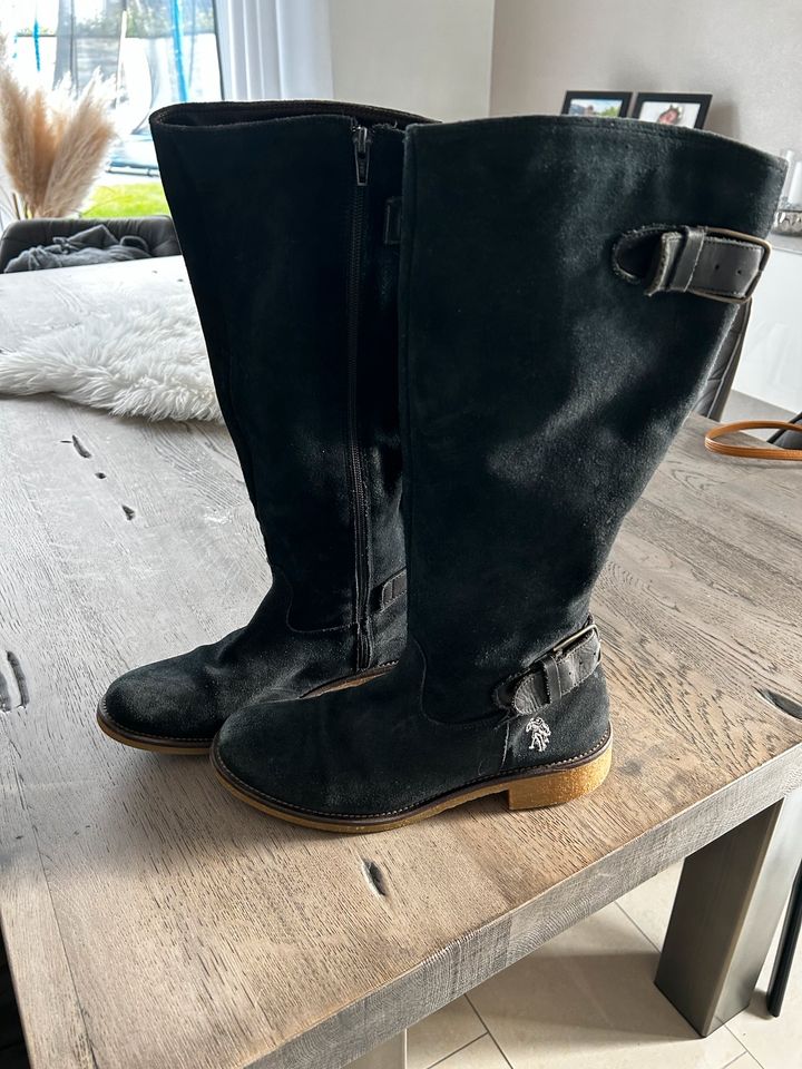 U.S. POLO ASSN Stiefel Gr 41 in Damme