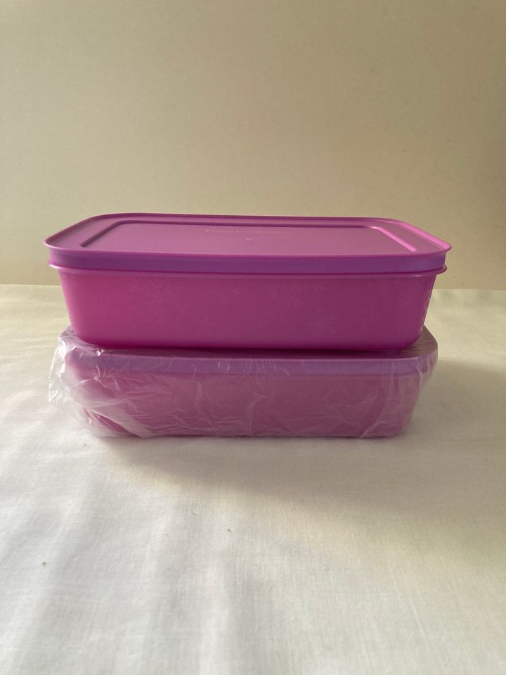 Tupperware Eiskristall/Gefrierbehälter Set (6) o. (4) o. (2) *NEU in Aichelberg