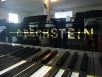 C. BECHSTEIN Flügel Modell B im C. Bechstein Partner Centrum Bielefeld - Bielefeld (Innenstadt) Vorschau