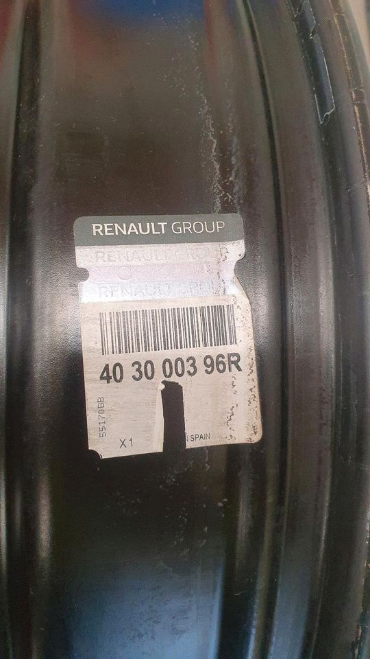 Orginal Renault Grand Scénic 4 Stahlfelgen 20 Zoll in Nauort