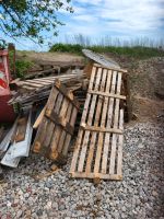 Holz Palettenholz Brennholz Feuerholz Paletten Rheinland-Pfalz - Ludwigshafen Vorschau