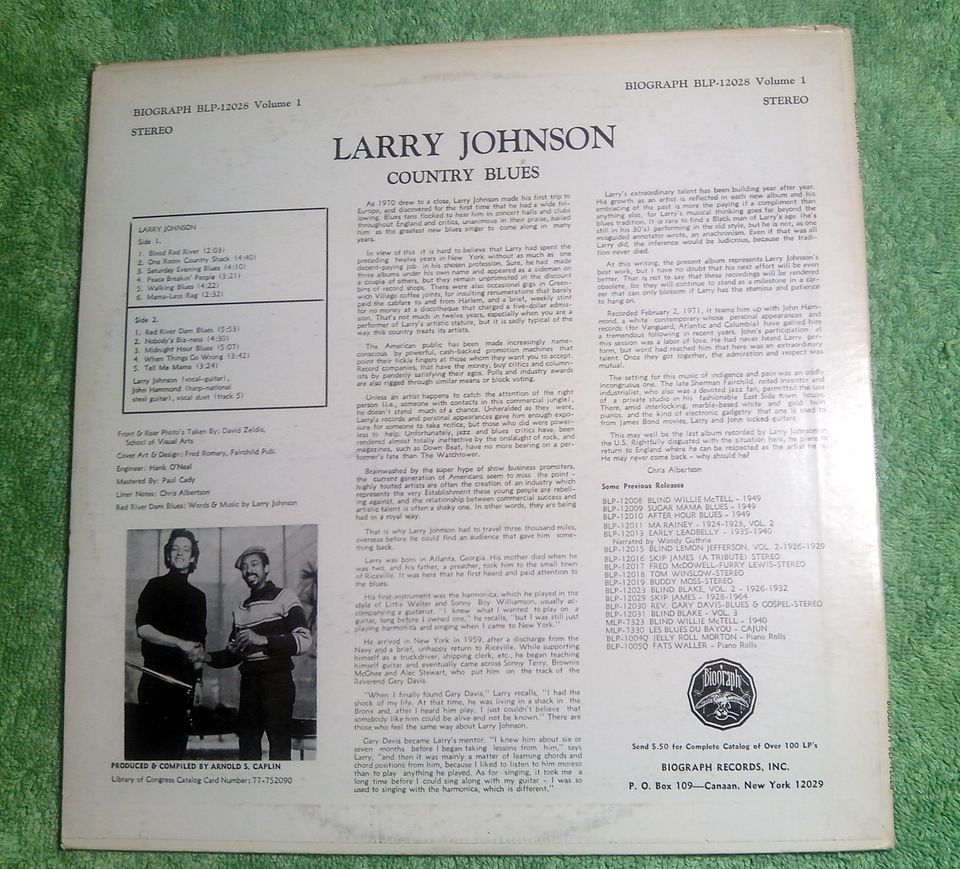 Vinyl Blues LP Larry Johnson Country Blues US 1977 in Berlin