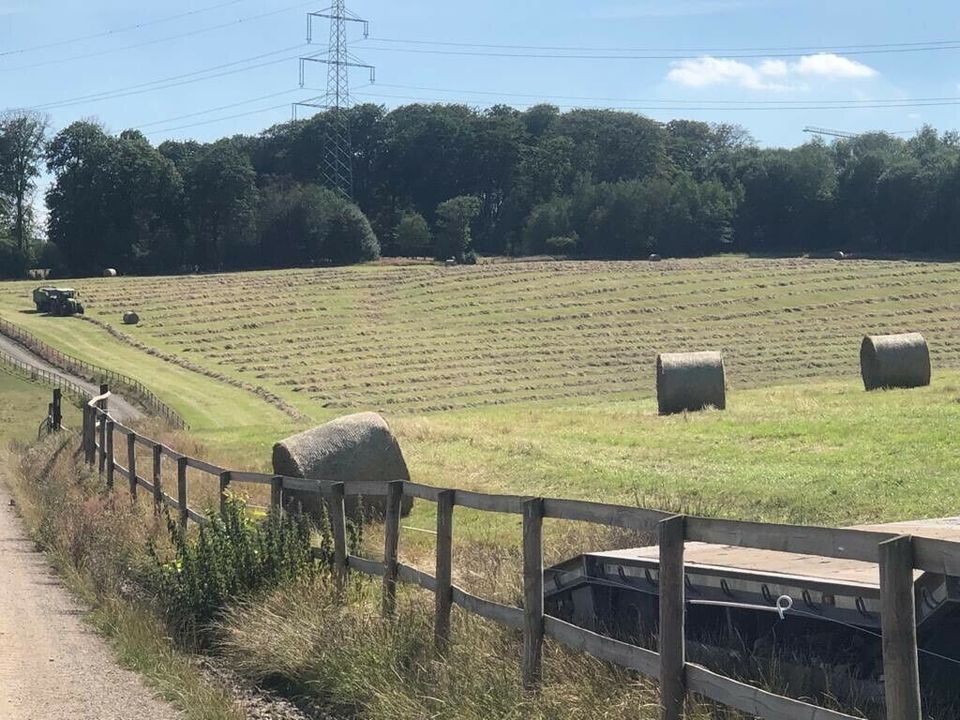 Pferdeheu Heu Heurundballen aus der Region mit Liebe produziert! in Gevelsberg