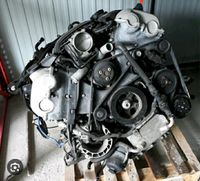 Motor  M48.02 M4802 PORSCHE CAYENNE S  GTS 420ps 42tkm komplett Mecklenburg-Vorpommern - Neubrandenburg Vorschau