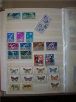 Briefmarken, FDC und Blocks Bulgarien - dabei Motiv WWF Flederma Hessen - Hanau Vorschau