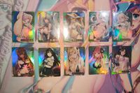 Senpai Goddess Haven Waifu Cards CP Sammlung Bremen - Blumenthal Vorschau