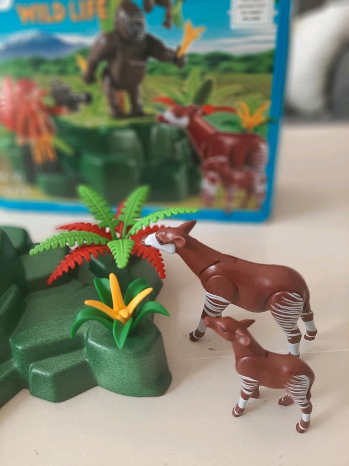 Playmobil Wild Life 5273 WWF-Zoologin bei Okapis und Gorillas in Uetersen