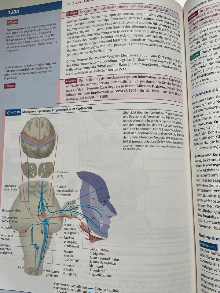 Duale Reihe Anatomie 3. Auflage Top Zustand in Köln