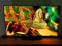 LG 55" OLED B2 Smart TV 4K 120Hz Dolby Vision Atmos HDR10 WebOS Rheinland-Pfalz - Gering Vorschau