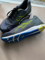 ASICS Gel - Laufschuhe Stratus Carrier Grey Gr.  40,5 Bayern - Kahl am Main Vorschau