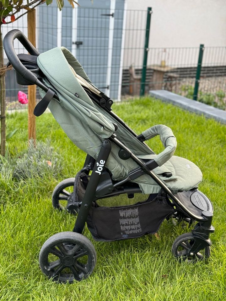 JOIE Buggy grün in Kassel