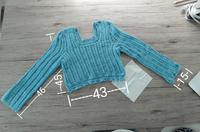 Hand-Made Häckel- kropp Pullover/Kurzpulli Gr.36-38 hellblau neu Hessen - Ginsheim-Gustavsburg Vorschau