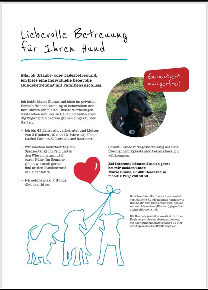 Hundesitting ♥️Hundebetreuung ♥️Hundepension Hundetagesstätte ♥️ in Heidesheim