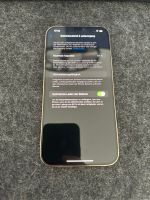 iPhone 12 Pro Max 256 GB Gold Nordrhein-Westfalen - Paderborn Vorschau