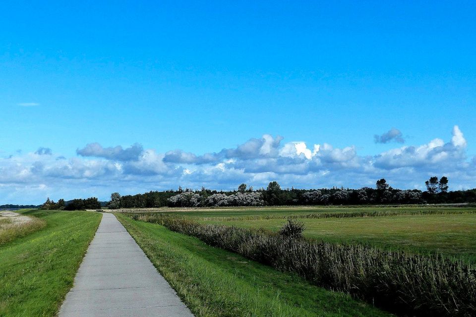 Landwirt, Tierwirt, Landmaschinenschlosser in Neverin