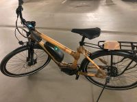 E-Bike, myBoo, Volta EP6 Nexus, Bambus (das AIDA Fahrrad) Kr. Dachau - Röhrmoos Vorschau