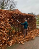 Heckenschnitt, Hecke schneiden, Schreddern arbeiten Schleswig-Holstein - Albersdorf Vorschau