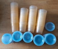 Philips Avent Becher / Breibecher / Babynahrung Nordrhein-Westfalen - Löhne Vorschau