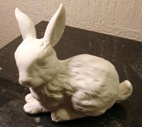 Rosenthal Hase Bisquitporzellan, ca.13cm Rheinland-Pfalz - Gönnheim Vorschau