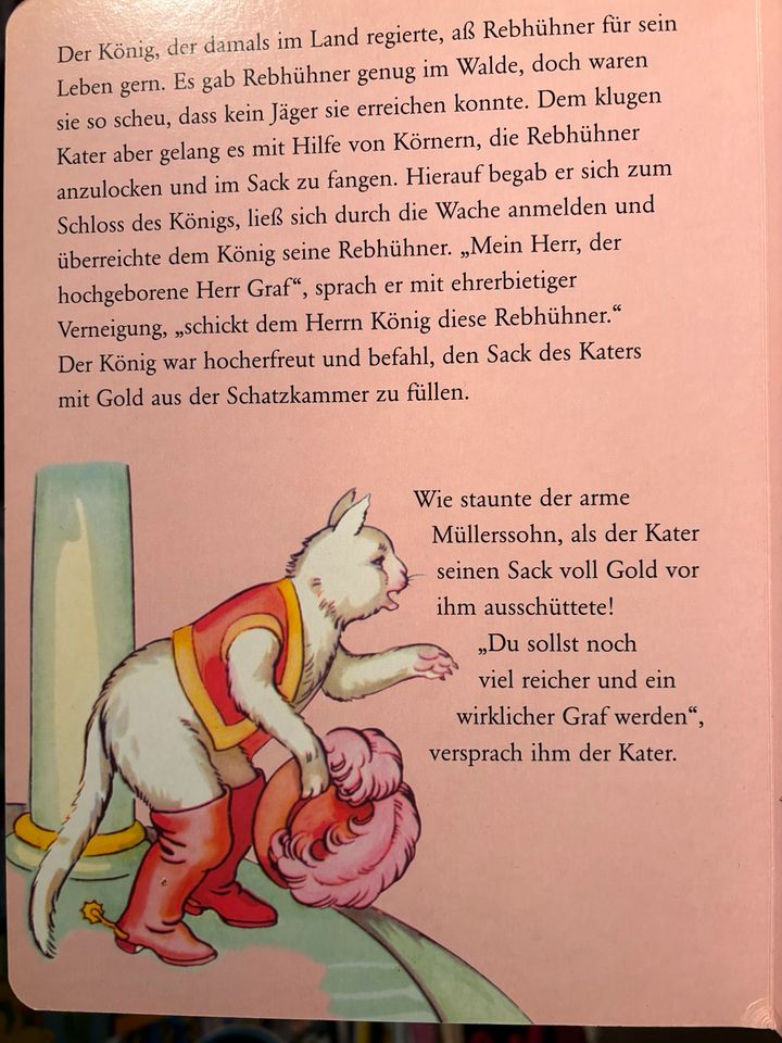 Aschenbrödel - Der gestiefelte Kater * Kinderbuch in Dresden