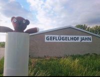 Geflügelverkauf von Legehennen, Junghennen, Hühner, Enten... Brandenburg - Küstriner Vorland Vorschau