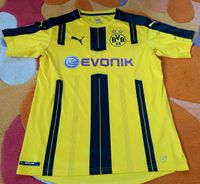 Puma Sportshirt Shirt BVB Dortmund Größe 176 Sachsen - Meißen Vorschau