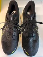 Asics Herren Laufschuhe 3 x getragen Fehlkauf Hessen - Lich Vorschau