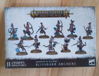 AoS Hedonites of Slaanesh Blissbarb Archers Nordrhein-Westfalen - Jüchen Vorschau