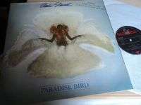 LP / Amii Stewart : PARADISE BIRD Brandenburg - Am Mellensee Vorschau