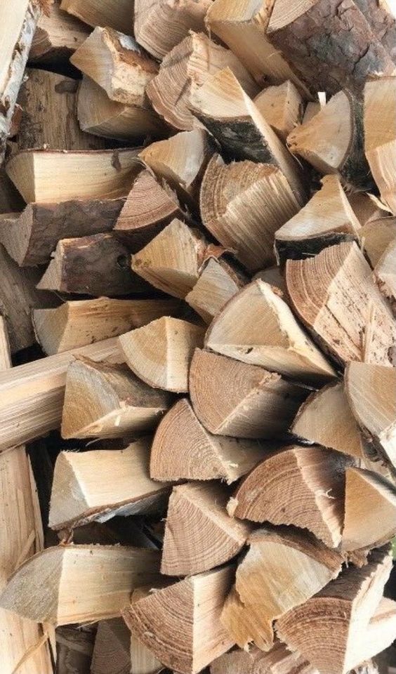 Kaminholz Nadelholz Kiefer trocken Brennholz Feuerholz Holz❗️ in Rüdnitz