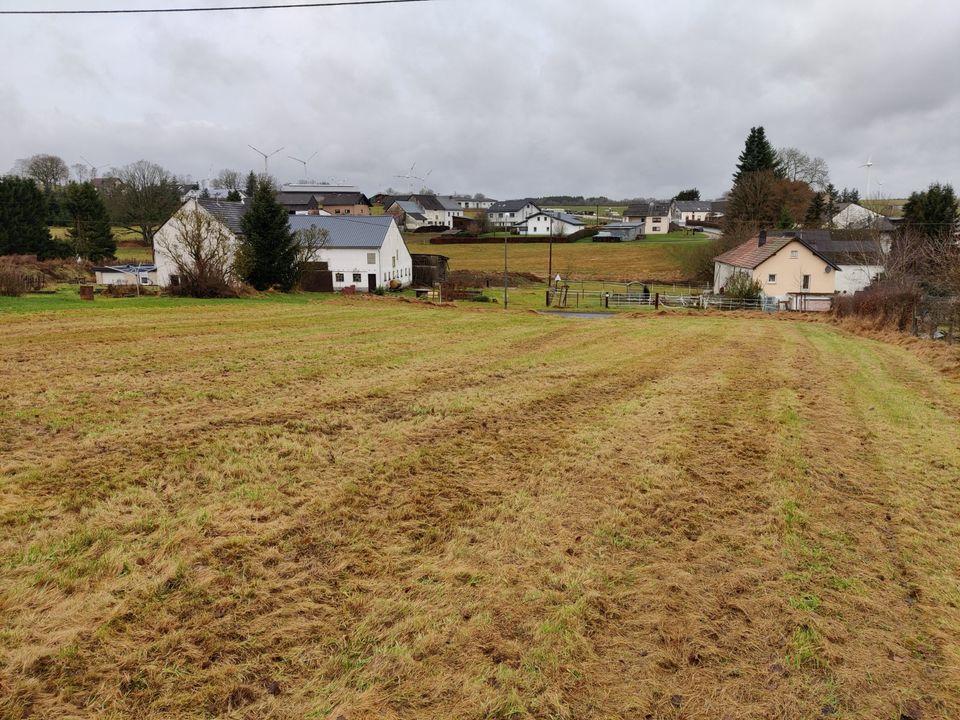 Eifel - 2810qm Grundstück inkl. Baugenehmigung in Lascheid