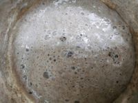 Bio Roggen Dinkel Weizen Sauerteig 200 g Starter Bayern - Velden Vorschau