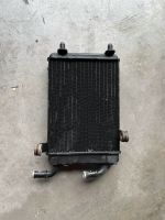 Zusatzwasserkühler Wasserkühler Audi S6 4F A6 RS6 4F0121212G Baden-Württemberg - Auggen Vorschau