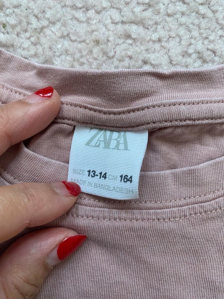 Used Zara (6), Garcia(1), Tom tailor (1) Langarmshirts set(8) in Frankfurt am Main