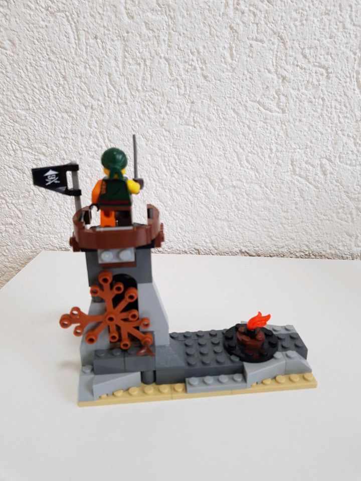 Lego Ninjago 70593 in Altenweddingen