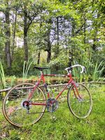 Gravelbike / Rennrad / Fahrrad  Antikes Göricke Sachsen-Anhalt - Drübeck Vorschau