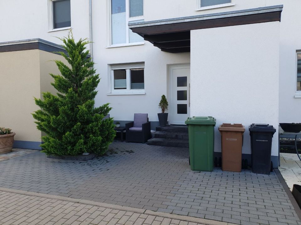 Dachreinigung-Regenrinnen & Terrassenreinigung und Gartenpflege in Altlußheim