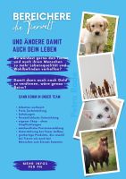 Tiere Menschen Wohlbefinden Remote (Homeoffice) Network Niedersachsen - Heidenau Vorschau