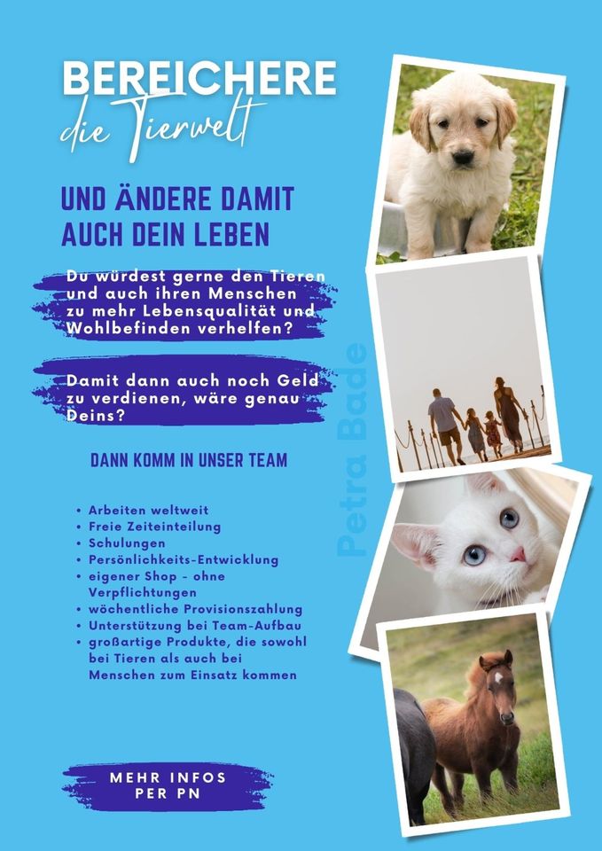 Tiere Menschen Wohlbefinden Remote (Homeoffice) Network in Heidenau