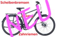 Trekkingrad 28 Zoll Pegasus Premio SL Gates Herren  Neu in OVP Rostock - Lütten Klein Vorschau