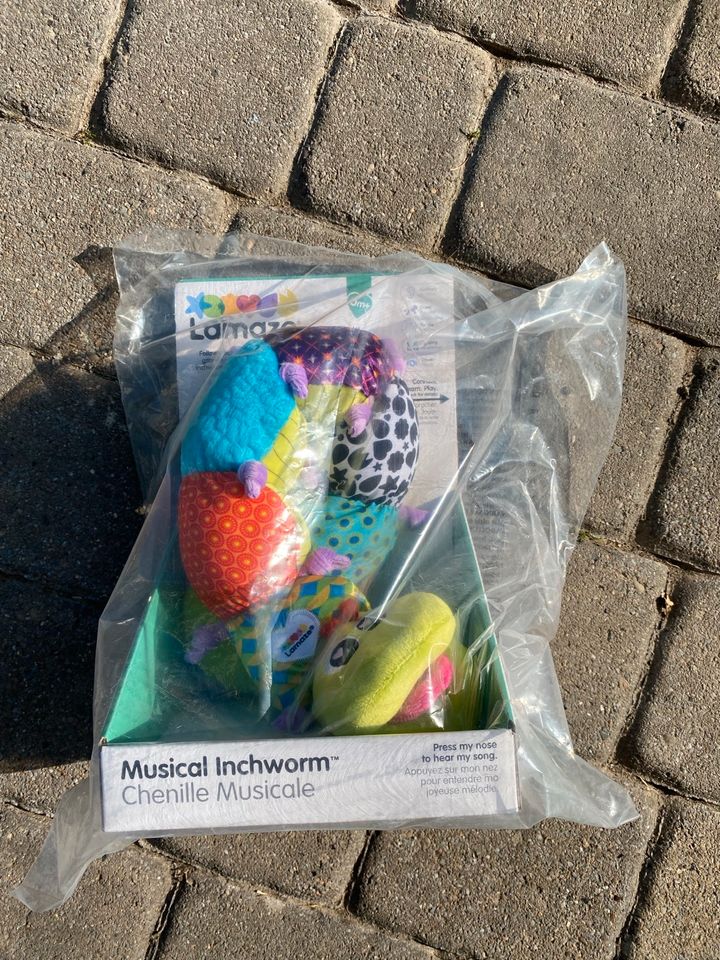 Musical Inchworm / Spielwur in Velbert