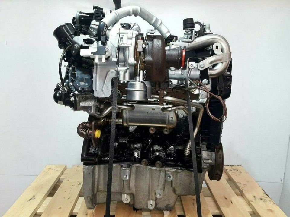 Motor Nissan Juke NV200 Qashqai 1.5 2017 K9K646 29,363 TKM in Leipzig