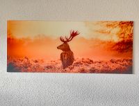 Wandbild Bild Deko Acrylglas Hirsch Wald wie neu 120x50cm Brotterode-Trusetal - Trusetal Vorschau